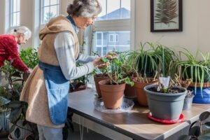 Two women tending to several potted plants