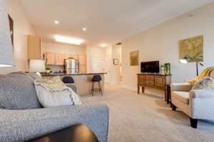 Interior of apartment living and kitchen area decorated with paintings, furnished with a couch and loung chair