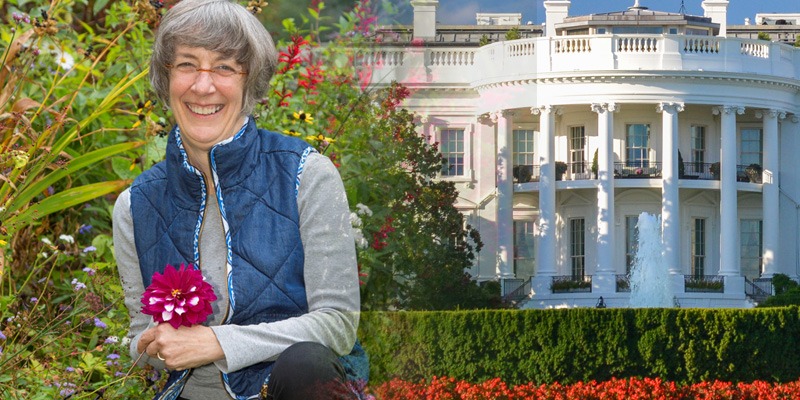 resident in the garden in front of the whitehouse